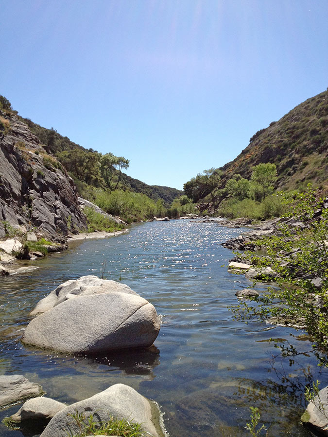 MWD Canal